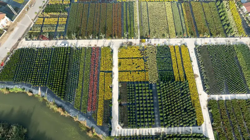 2025大连影视制作行业技术升级趋势与本地企业应对策略